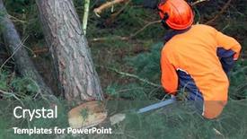  Presentation with timber harvest - Cool new PPT layouts with working in a forest harvest backdrop and a dark gray colored foreground