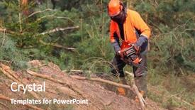  Presentation with timber harvest - Cool new presentation design with working in a forest harvest backdrop and a coral colored foreground