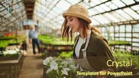  Presentation with green house - Slides enhanced with working in green-house background and a tawny brown colored foreground