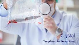  Presentation with forensics - Slide deck consisting of working in lab on crime background and a  colored foreground