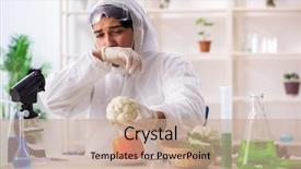  Presentation with gmo - PPT theme featuring working in lab on gmo background and a coral colored foreground