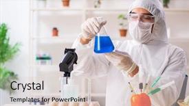  Presentation with gmo - Slide set consisting of working in lab on gmo background and a lemonade colored foreground