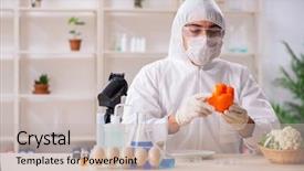  Presentation with gmo - Cool new PPT theme with working in lab on gmo backdrop and a soft green colored foreground