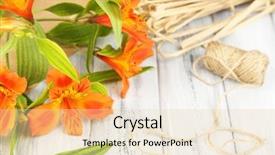  Presentation with photo - Colorful presentation enhanced with working place of florist conceptual photo backdrop and a lemonade colored foreground