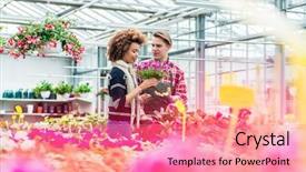  Presentation with latin america cinema - Audience pleasing PPT theme consisting of workplace in a modern flower backdrop and a coral colored foreground