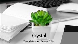  Presentation with plant - Beautiful presentation theme featuring workplace with tablet and pot backdrop and a light gray colored foreground