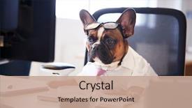  Presentation with golden burst of fire works - Amazing presentation having works at desk on computer backdrop and a coral colored foreground