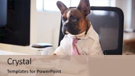  Presentation with desk - Beautiful presentation theme featuring works at desk on computer backdrop and a coral colored foreground