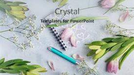  Presentation with feminine - Amazing presentation design having workspace-with-diary-notebook-pen backdrop and a lemonade colored foreground