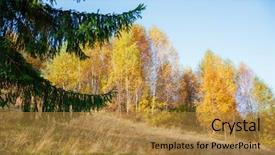  Presentation with earth tone - Beautiful slide deck featuring world best wallpapers of earth backdrop and a gold colored foreground