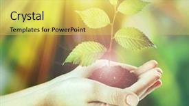  Presentation with hands planting a cabbage seedling - Theme with world blue - plant in hands on sunny background and a yellow colored foreground