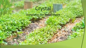  Presentation with eco friendly environment - Colorful PPT theme enhanced with world environment day concept fertilizer backdrop and a yellow colored foreground