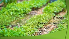  Presentation with eco friendly environment - Beautiful slides featuring world environment day concept fertilizer backdrop and a yellow colored foreground