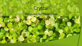  Presentation with eco friendly environment - Slide deck enhanced with world environment day concept fertilizer background and a gold colored foreground