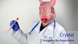  Presentation with mexican cooking - PPT theme with world health organization - doctor in a pig mask background and a sky blue colored foreground