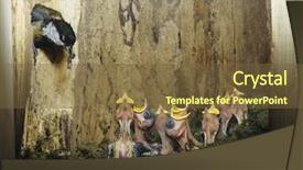  Presentation with parent cultural diversity - Presentation theme having world hunger - parent bird feeding nestlings background and a tawny brown colored foreground