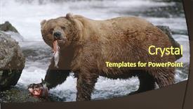  Presentation with world hunger - Audience pleasing slides consisting of world hunger - usa alaska katmai national park backdrop and a tawny brown colored foreground
