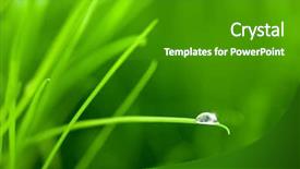  Presentation with clean water - Audience pleasing slide deck consisting of clean earth - world into a water drop backdrop and a shamrock green colored foreground