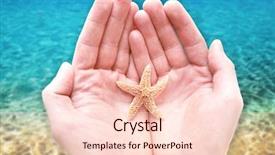  Presentation with world peace - Theme having world peace - two hands cup a starfish background and a lemonade colored foreground