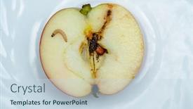  Presentation with vegetable garden - PPT layouts featuring worm-in-apple-wormy-fruit background and a sky blue colored foreground