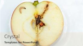  Presentation with worm - Cool new slides with worm-in-apple-wormy-fruit backdrop and a lemonade colored foreground