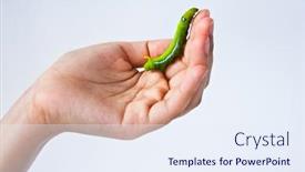  Presentation with worm - Cool new presentation theme with worm-on-hand backdrop and a sky blue colored foreground