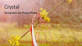  Presentation with fertility - Beautiful slide set featuring worn near heart during march backdrop and a coral colored foreground