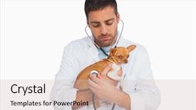  Presentation with vet - Cool new presentation theme with worried vet checking dog with stethoscope on white background backdrop and a lemonade colored foreground