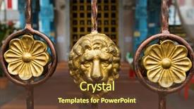  Presentation with golden lion tamarin - Colorful presentation theme enhanced with worshipping flowers - golden lion head next backdrop and a tawny brown colored foreground