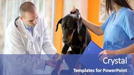  Presentation with dog - Slide deck enhanced with nurse wound - bandaging a bandage on dog background and a ocean colored foreground