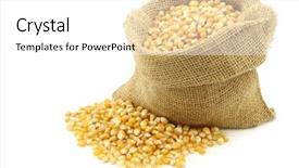  Presentation with grain corn - Audience pleasing PPT theme consisting of woven bags - yellow corn grain backdrop and a white colored foreground