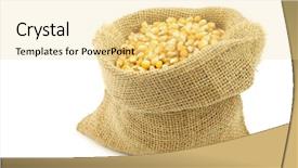  Presentation with grain corn - PPT theme having woven bags - yellow corn grain background and a blonde colored foreground