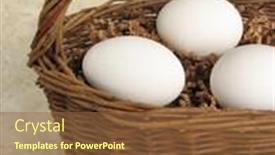  Presentation with woven - Presentation theme having young pony suckle from her mother horse background and a seafoam green colored foreground