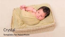  Presentation with black baby - PPT theme consisting of wrapped from head to toe background and a lemonade colored foreground