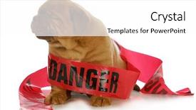  Presentation with bad - Cool new PPT theme with wrapped up in danger tape backdrop and a white colored foreground