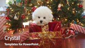  Presentation with red gold white - Colorful presentation theme enhanced with wrapping paper and a gold backdrop and a tawny brown colored foreground