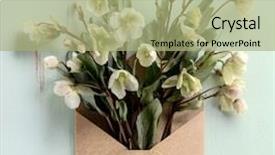  Presentation with envelope - Beautiful PPT theme featuring writing envelopes - tibetan hellebore flower in envelope backdrop and a mint green colored foreground