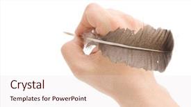  Presentation with feather pen - Slides having writing hand with pen feather background and a lemonade colored foreground