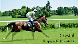  Presentation with president - Colorful PPT theme enhanced with wroclaw-poland-juni-8-president backdrop and a seafoam green colored foreground