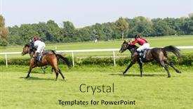  Presentation with photograph - 