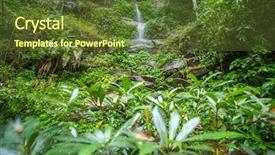  Presentation with tropical forest - Beautiful PPT theme featuring wwaterfall in the tropical forest backdrop and a tawny brown colored foreground