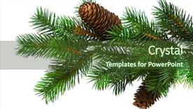  Presentation with christmas party - Presentation design having x mas party - branch of christmas tree background and a tawny brown colored foreground