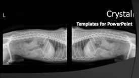 Presentation with rib cage - Cool new presentation theme with x-ray-image backdrop and a black colored foreground