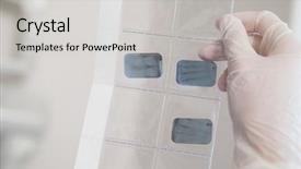  Presentation with xray - PPT theme with fall leaves and berries background autumn harvest concept background and a tawny brown colored foreground