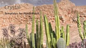  Presentation with regions - Audience pleasing presentation design consisting of xeriscape-cactus-garden-a-style backdrop and a coral colored foreground