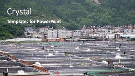  Presentation with shrimp farming - Audience pleasing theme consisting of xiapu-china-june-4-2015 backdrop and a gray colored foreground