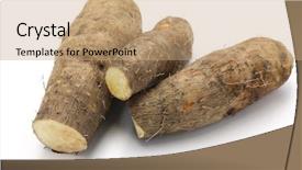  Presentation with monarch butterfly isolated on white - Slide deck with yam isolated on white background background and a coral colored foreground