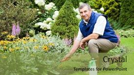  Presentation with jesus in the garden of getshame - Slides featuring yard work - man raking garden background and a yellow colored foreground