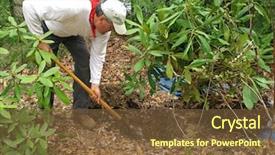  Presentation with creation of man - Presentation theme featuring yard work - man transplanting rhododendron background and a tawny brown colored foreground