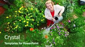  Presentation with garden - PPT layouts consisting of yard work - mature caucasian smiling woman watering background and a forest green colored foreground